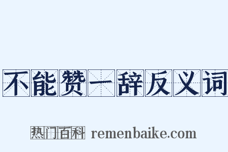 不能赞一辞反义词是什么意思的图片